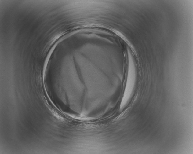 X0000059231289200511111538