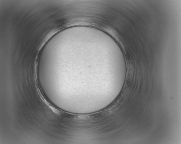 X0000059231290200511111538