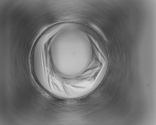 X0000059231291200511111538