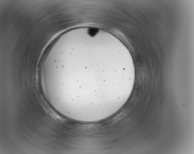 X0000059231292200511111538