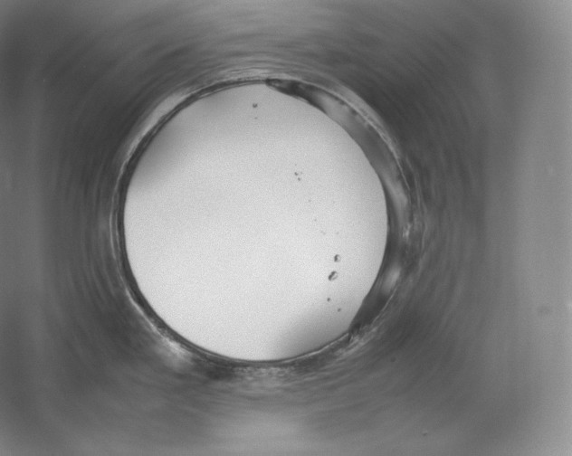 X0000059231293200511111538