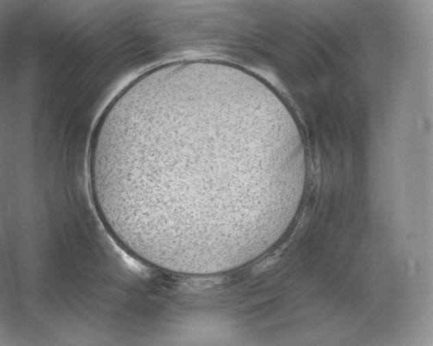 X0000059231294200511111538