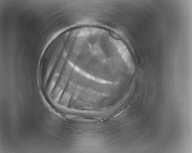 X0000059231295200511111538