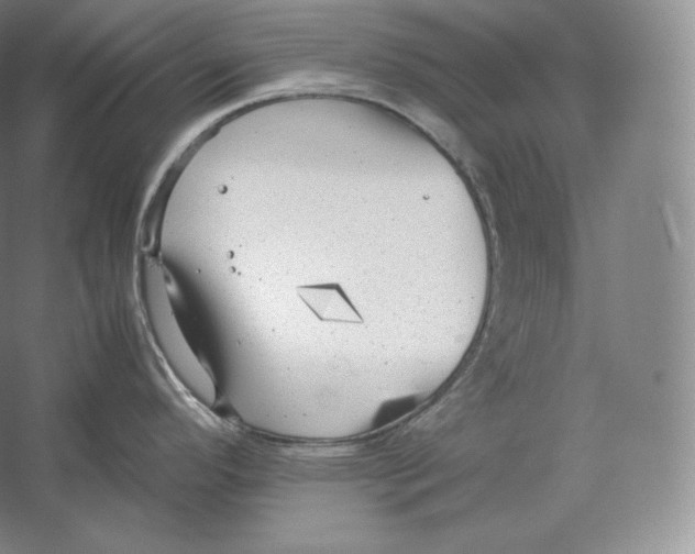 X0000059231296200511111538