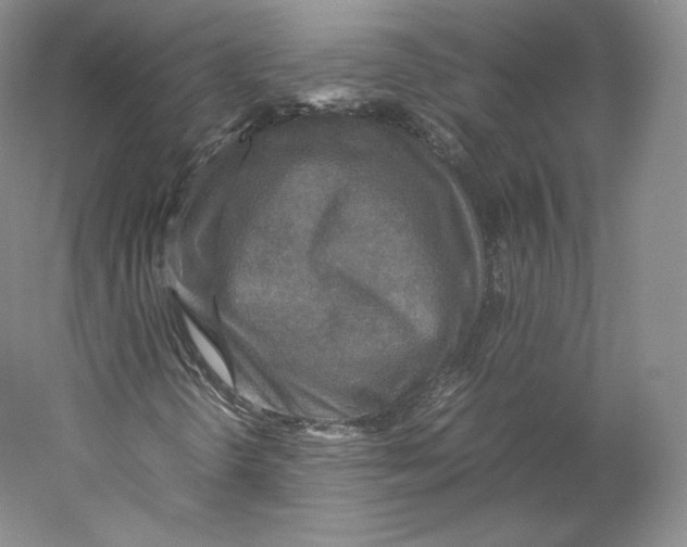 X0000059231298200511111537