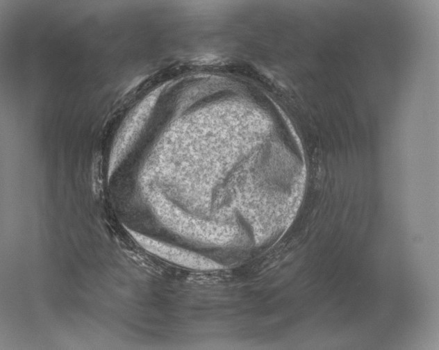 X0000059231301200511111537