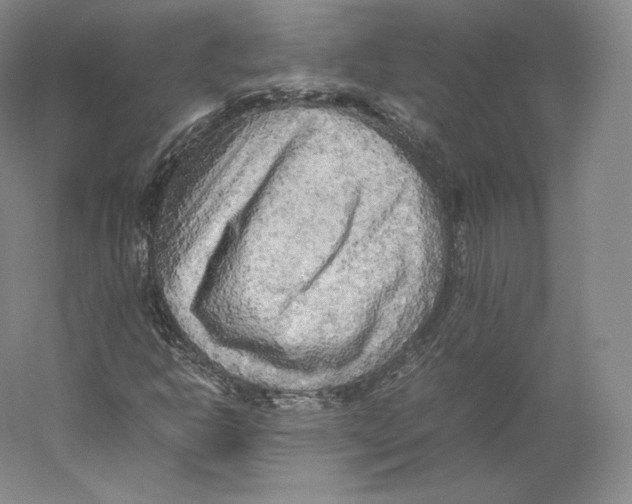 X0000059231302200511111537