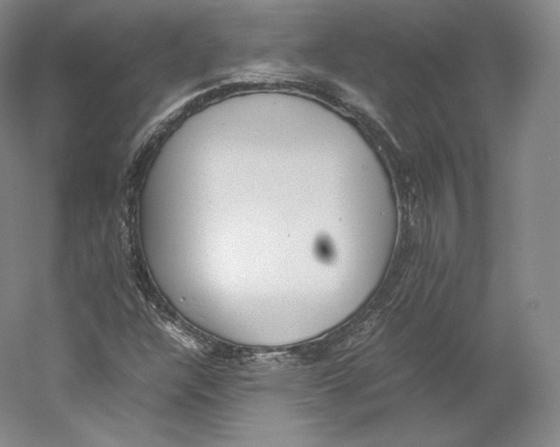 X0000059231304200511111537