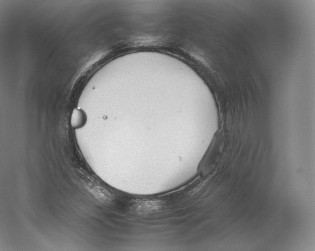 X0000059231309200511111538