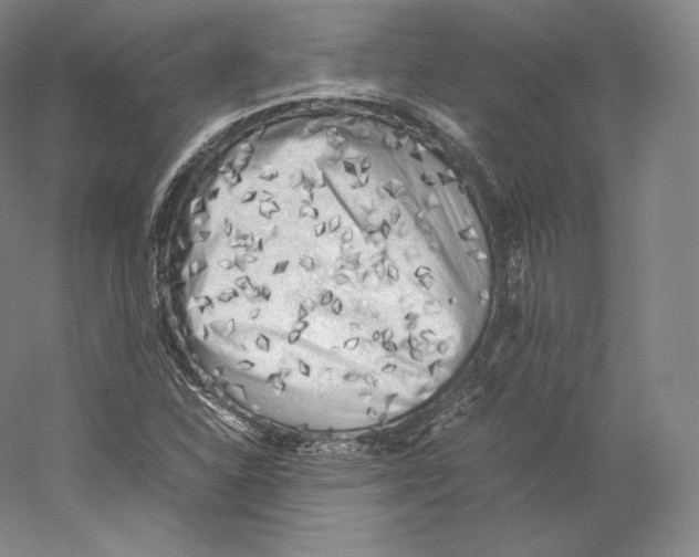 X0000059231310200511111538