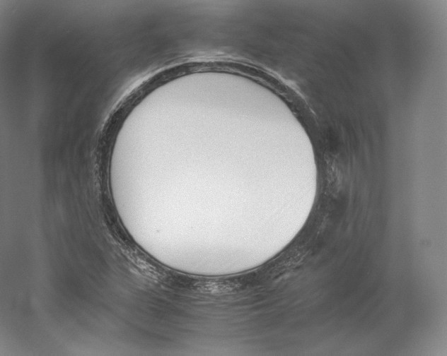 X0000059231311200511111538