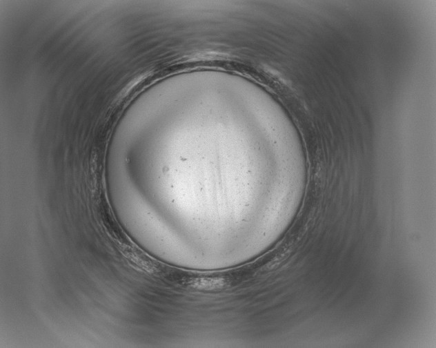 X0000059231313200511111538