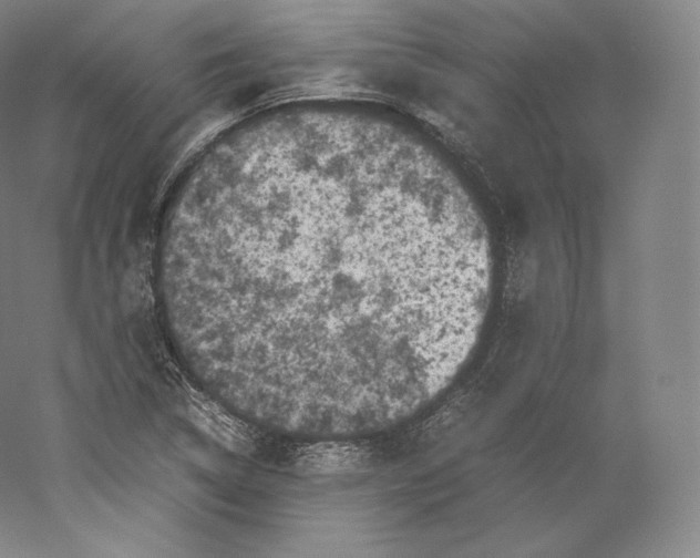 X0000059231314200511111538