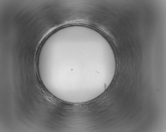 X0000059231316200511111538