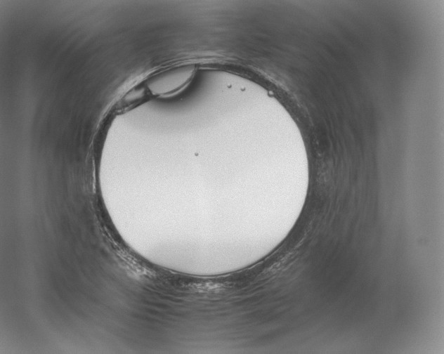 X0000059231317200511111538