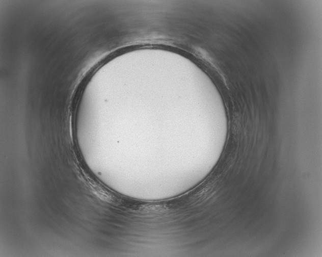 X0000059231320200511111538