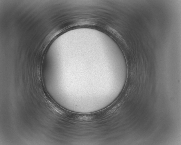 X0000059231321200511111538