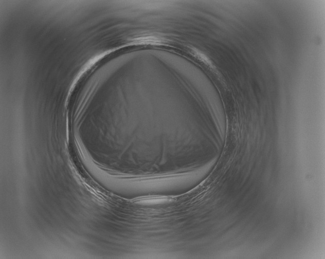 X0000059231323200511111538