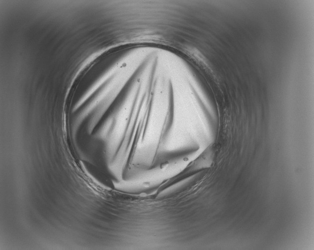 X0000059231324200511111538