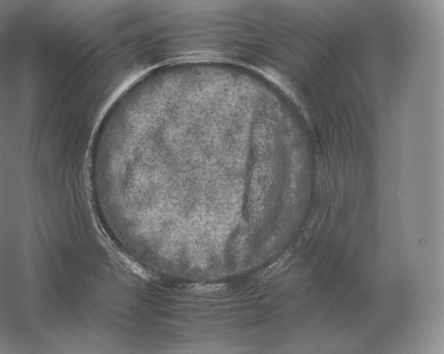 X0000059231325200511111538