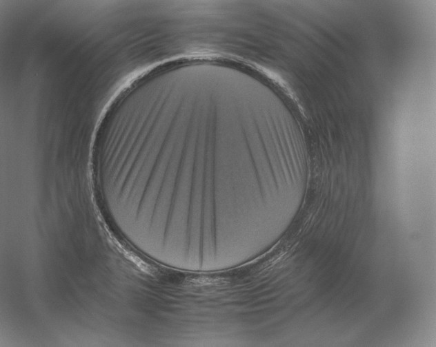 X0000059231327200511111538