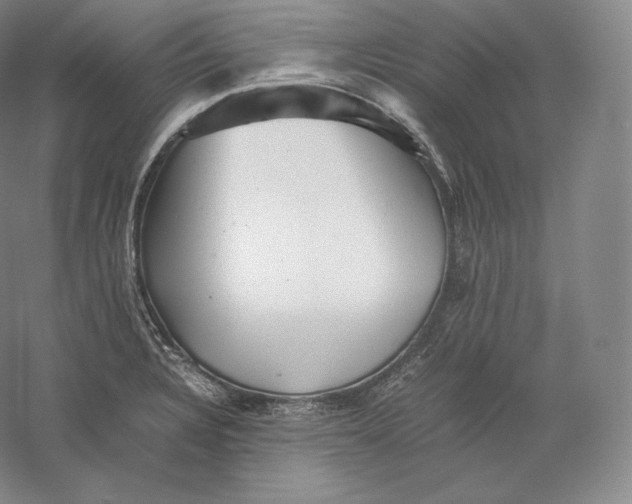 X0000059231328200511111538