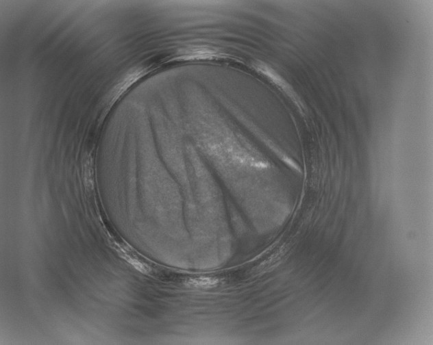 X0000059231329200511111538