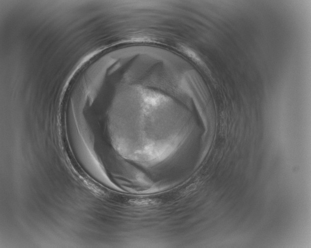 X0000059231331200511111538