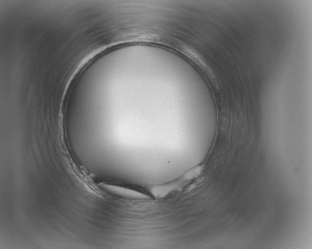 X0000059231332200511111538