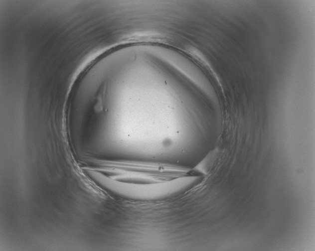 X0000059231336200511111538