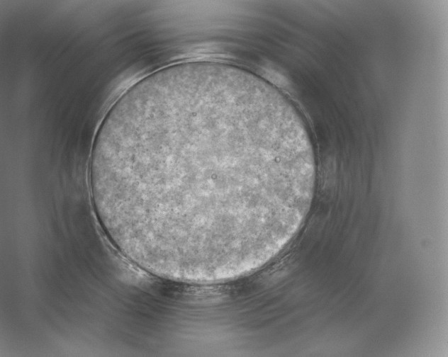 X0000059231338200511111538