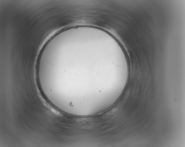 X0000059231341200511111538