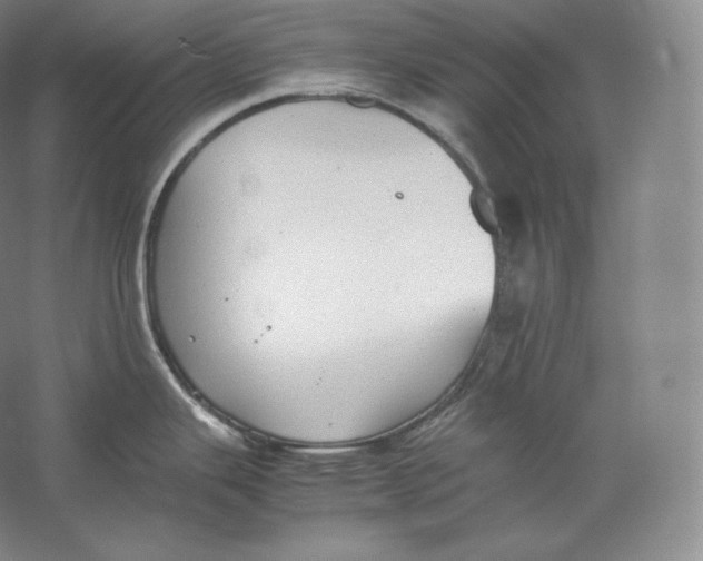 X0000059231343200511111538