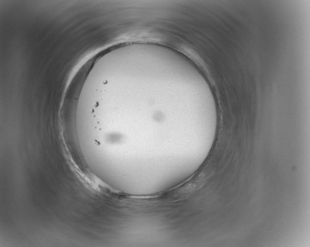 X0000059231344200511111538