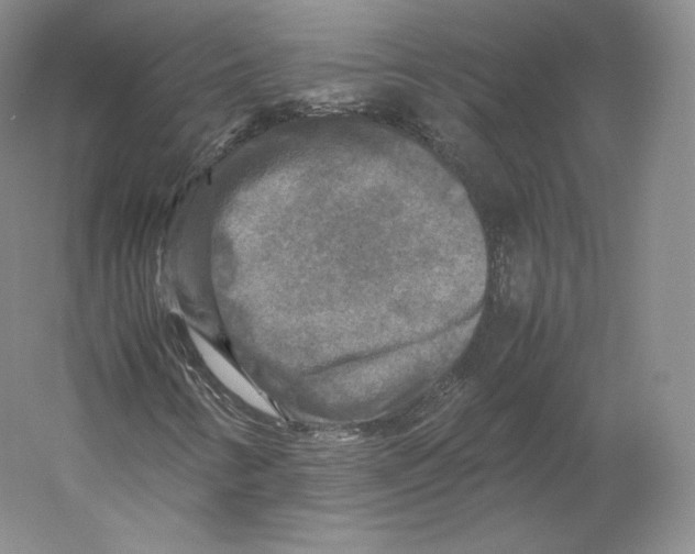 X0000059231346200511111537