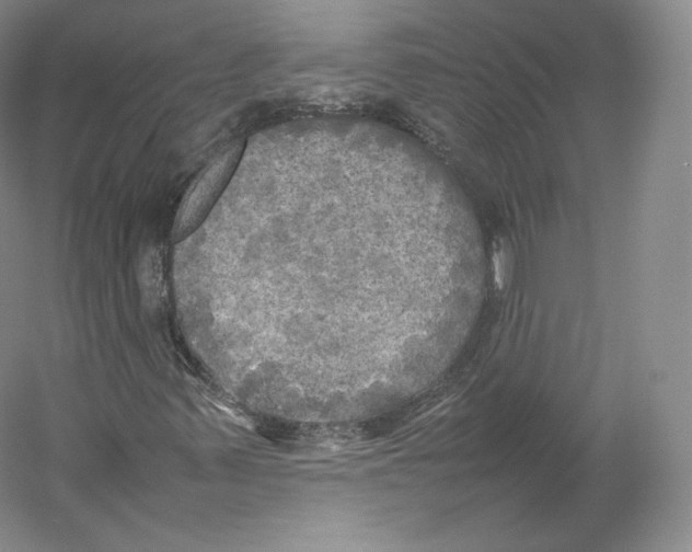 X0000059231347200511111537