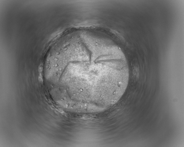 X0000059231350200511111537