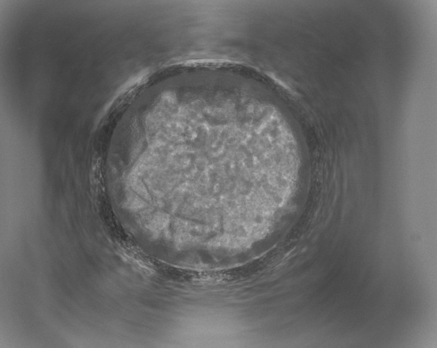 X0000059231351200511111537