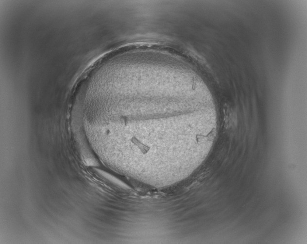 X0000059231352200511111537