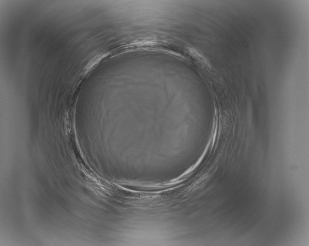 X0000059231353200511111537