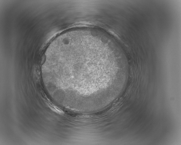 X0000059231355200511111537