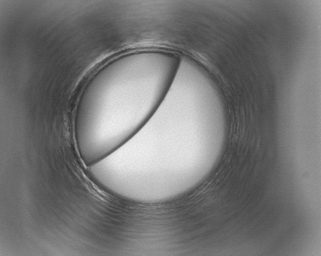 X0000059231356200511111537