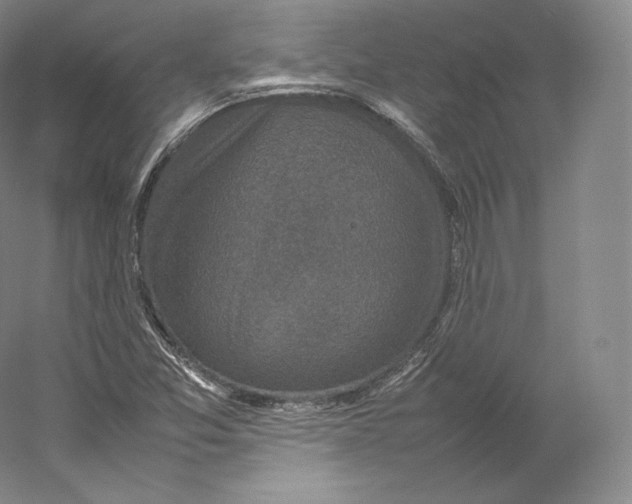 X0000059231357200511111537