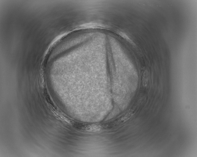 X0000059231358200511111537