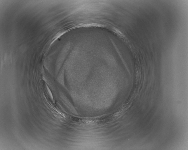 X0000059231361200511111537