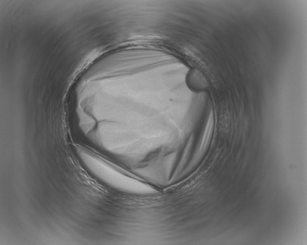 X0000059231362200511111537