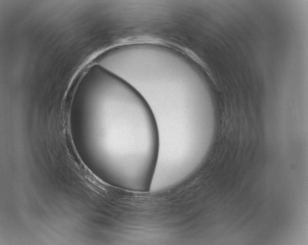 X0000059231364200511111537