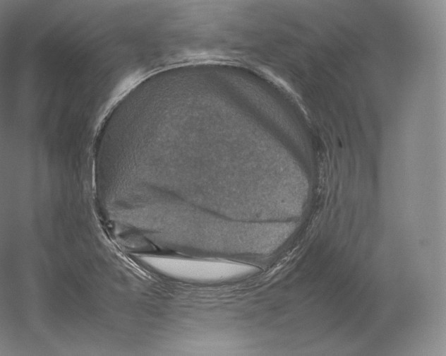 X0000059231365200511111537