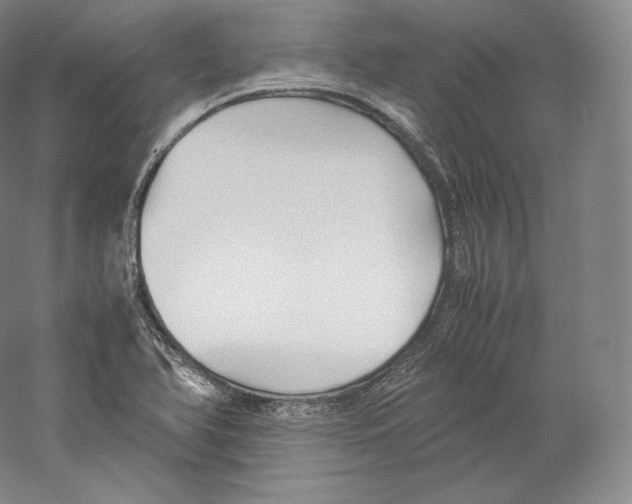 X0000059231366200511111537