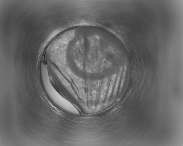 X0000059231367200511111537